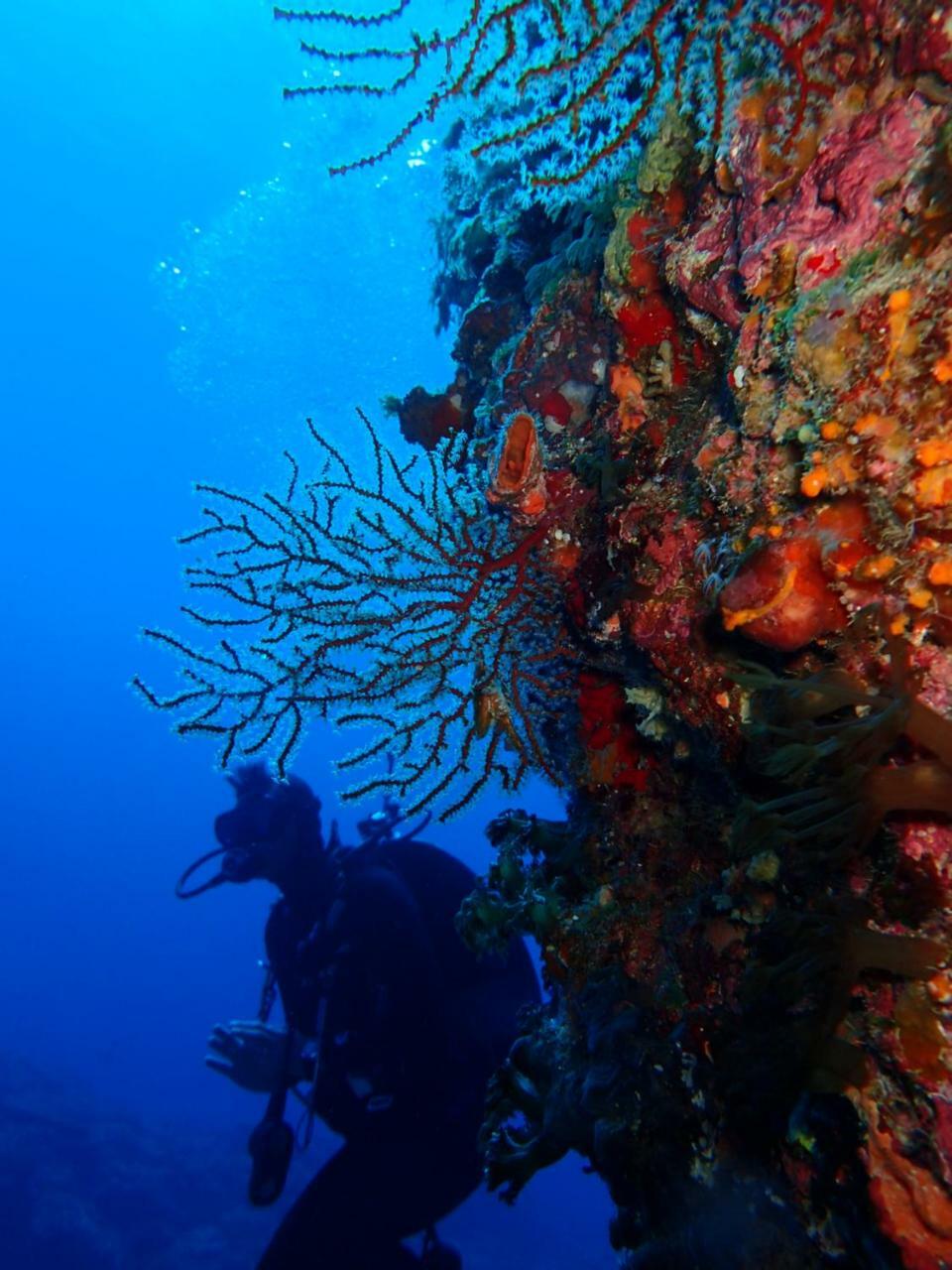 Qing Feng Diving B&B Lyudao Buitenkant foto