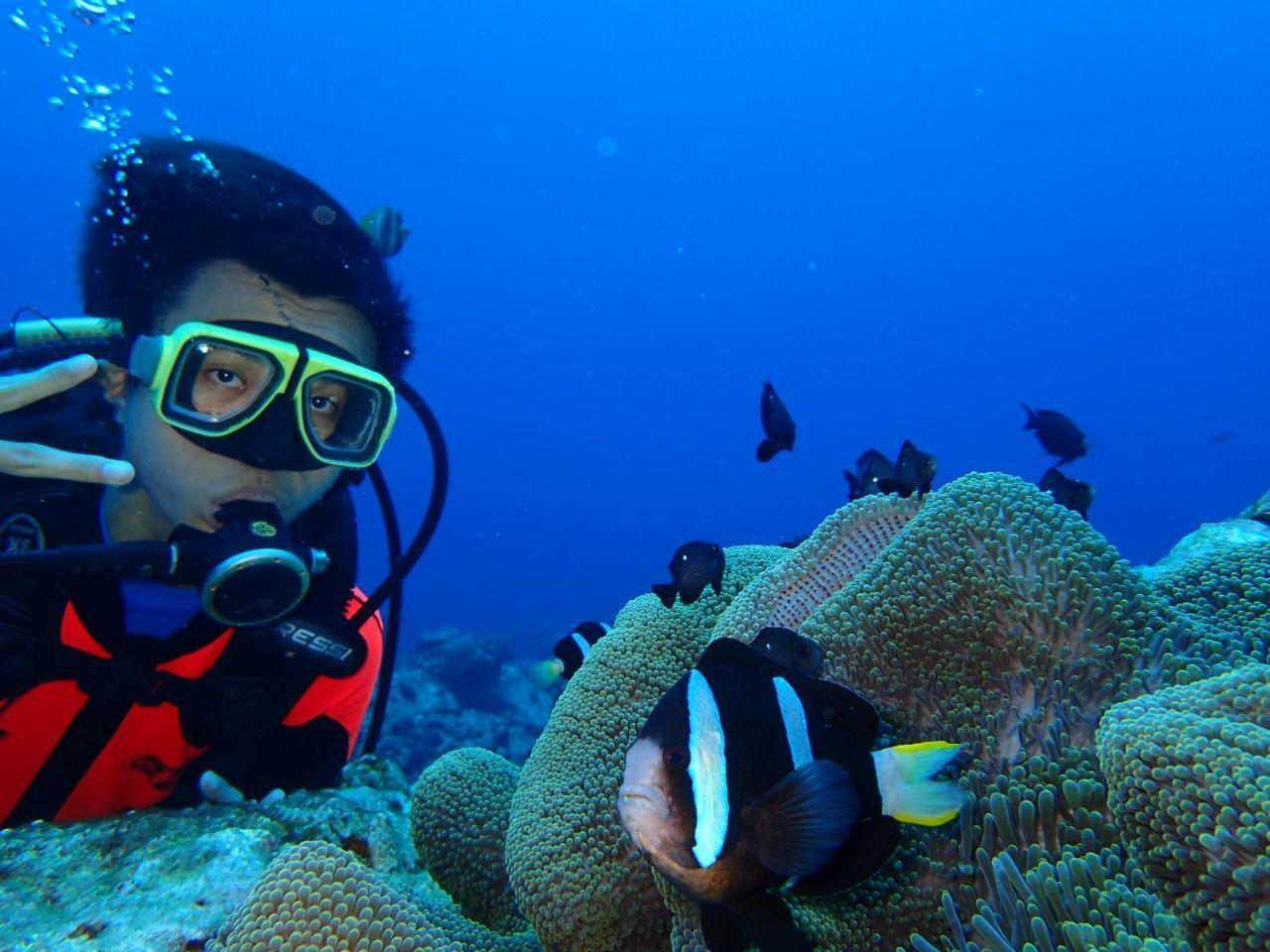 Qing Feng Diving B&B Lyudao Buitenkant foto