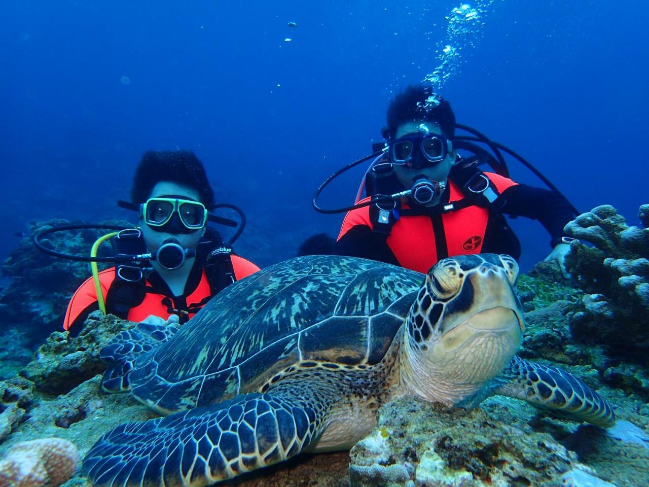 Qing Feng Diving B&B Lyudao Buitenkant foto