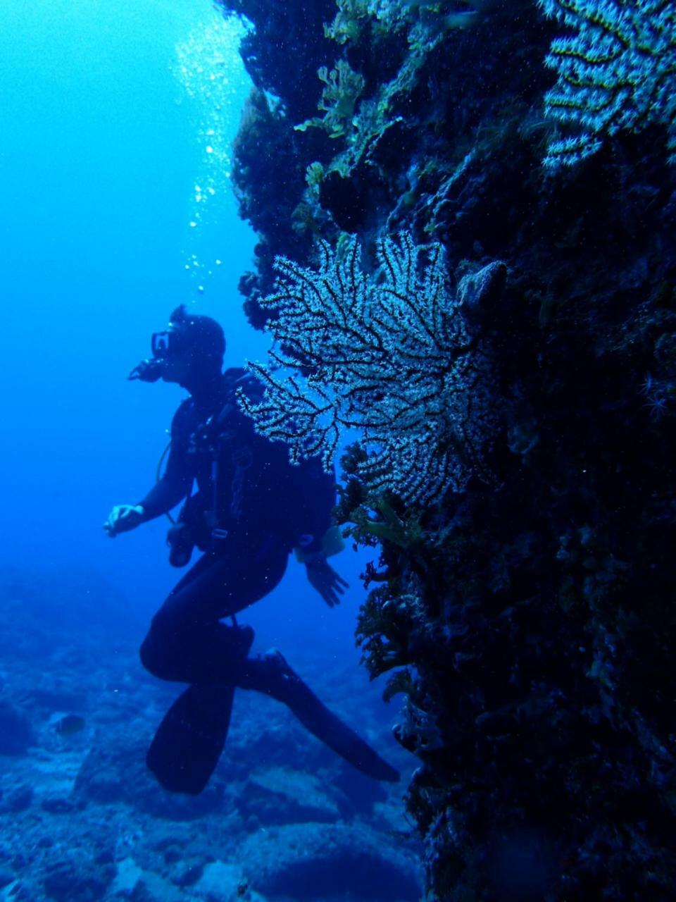 Qing Feng Diving B&B Lyudao Buitenkant foto